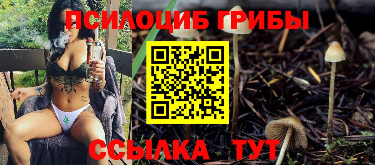 Псилоцибиновые грибы прущие грибы  Вход с VPN  Псилоцибиновые грибы Psilocybine cubensis  Хасавюрт 